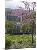 Lurie Garden and Art Institute of Chicago, Millennium Park, Chicago, Illinois, USA-Amanda Hall-Mounted Photographic Print