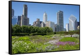 Lurie Garden in Millennium Park, Chicago, with Michigan Avenue Skyline-Alan Klehr-Framed Stretched Canvas