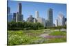 Lurie Garden in Millennium Park, Chicago, with Michigan Avenue Skyline-Alan Klehr-Stretched Canvas