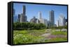 Lurie Garden in Millennium Park, Chicago, with Michigan Avenue Skyline-Alan Klehr-Framed Stretched Canvas