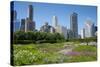 Lurie Garden in Millennium Park, Chicago, with Michigan Avenue Skyline-Alan Klehr-Stretched Canvas