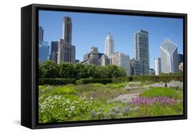 Lurie Garden in Millennium Park, Chicago, with Michigan Avenue Skyline-Alan Klehr-Framed Stretched Canvas