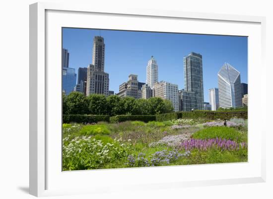 Lurie Garden in Millennium Park, Chicago, with Michigan Avenue Skyline-Alan Klehr-Framed Photographic Print