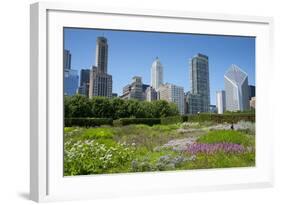 Lurie Garden in Millennium Park, Chicago, with Michigan Avenue Skyline-Alan Klehr-Framed Photographic Print