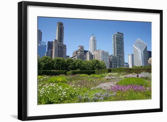 Lurie Garden in Millennium Park, Chicago, with Michigan Avenue Skyline-Alan Klehr-Framed Photographic Print