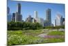 Lurie Garden in Millennium Park, Chicago, with Michigan Avenue Skyline-Alan Klehr-Mounted Photographic Print