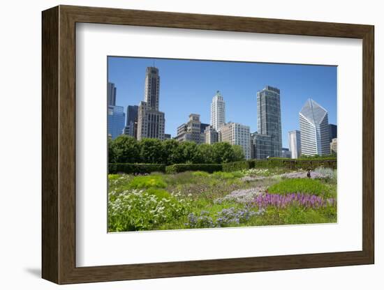 Lurie Garden in Millennium Park, Chicago, with Michigan Avenue Skyline-Alan Klehr-Framed Photographic Print