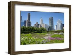 Lurie Garden in Millennium Park, Chicago, with Michigan Avenue Skyline-Alan Klehr-Framed Photographic Print