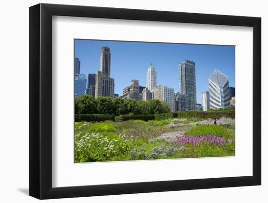 Lurie Garden in Millennium Park, Chicago, with Michigan Avenue Skyline-Alan Klehr-Framed Photographic Print