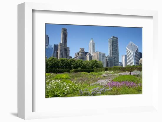 Lurie Garden in Millennium Park, Chicago, with Michigan Avenue Skyline-Alan Klehr-Framed Photographic Print