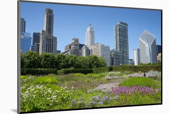 Lurie Garden in Millennium Park, Chicago, with Michigan Avenue Skyline-Alan Klehr-Mounted Photographic Print