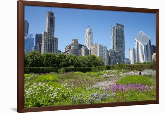 Lurie Garden in Millennium Park, Chicago, with Michigan Avenue Skyline-Alan Klehr-Framed Photographic Print
