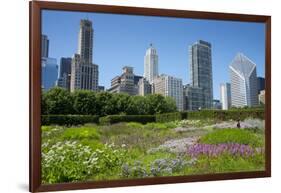 Lurie Garden in Millennium Park, Chicago, with Michigan Avenue Skyline-Alan Klehr-Framed Photographic Print