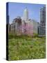 Lurie Garden, Millennium Park, Chicago, Illinois, United States of America, North America-Amanda Hall-Stretched Canvas