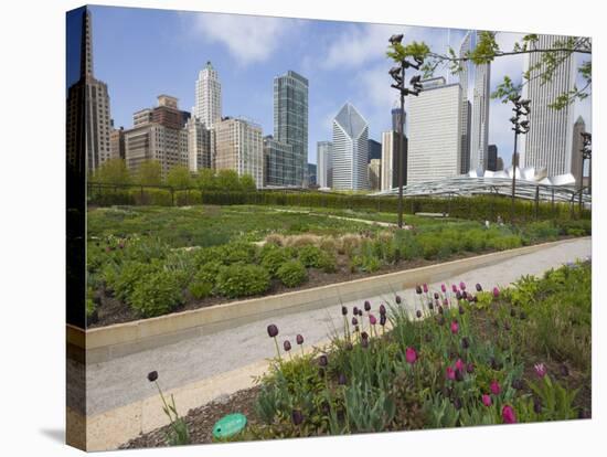 Lurie Garden, Millennium Park, Chicago, Illinois, United States of America, North America-Amanda Hall-Stretched Canvas