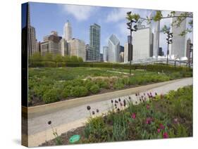 Lurie Garden, Millennium Park, Chicago, Illinois, United States of America, North America-Amanda Hall-Stretched Canvas