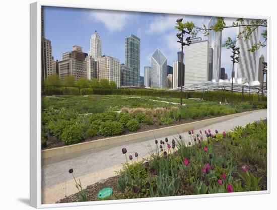 Lurie Garden, Millennium Park, Chicago, Illinois, United States of America, North America-Amanda Hall-Framed Photographic Print