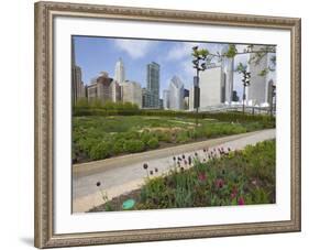 Lurie Garden, Millennium Park, Chicago, Illinois, United States of America, North America-Amanda Hall-Framed Photographic Print