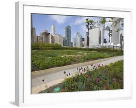 Lurie Garden, Millennium Park, Chicago, Illinois, United States of America, North America-Amanda Hall-Framed Photographic Print