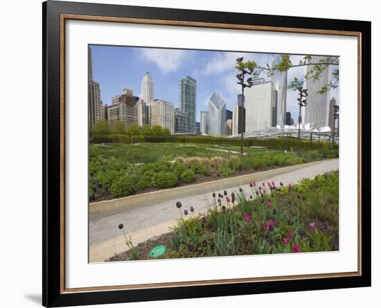 Lurie Garden, Millennium Park, Chicago, Illinois, United States of America, North America-Amanda Hall-Framed Photographic Print