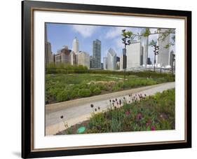 Lurie Garden, Millennium Park, Chicago, Illinois, United States of America, North America-Amanda Hall-Framed Photographic Print