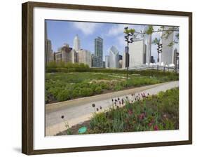 Lurie Garden, Millennium Park, Chicago, Illinois, United States of America, North America-Amanda Hall-Framed Photographic Print