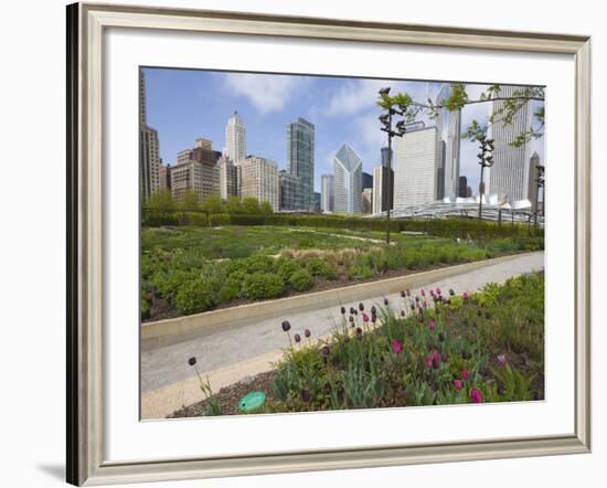 Lurie Garden, Millennium Park, Chicago, Illinois, United States of America, North America-Amanda Hall-Framed Photographic Print