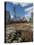 Lurie Garden with Skyline, Chicago Millennium Park, Chicago, Illinois, Usa-Alan Klehr-Stretched Canvas