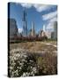 Lurie Garden with Skyline, Chicago Millennium Park, Chicago, Illinois, Usa-Alan Klehr-Stretched Canvas