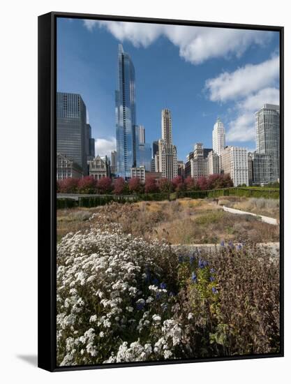 Lurie Garden with Skyline, Chicago Millennium Park, Chicago, Illinois, Usa-Alan Klehr-Framed Stretched Canvas