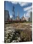 Lurie Garden with Skyline, Chicago Millennium Park, Chicago, Illinois, Usa-Alan Klehr-Stretched Canvas