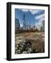 Lurie Garden with Skyline, Chicago Millennium Park, Chicago, Illinois, Usa-Alan Klehr-Framed Photographic Print