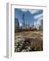 Lurie Garden with Skyline, Chicago Millennium Park, Chicago, Illinois, Usa-Alan Klehr-Framed Photographic Print