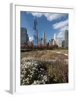 Lurie Garden with Skyline, Chicago Millennium Park, Chicago, Illinois, Usa-Alan Klehr-Framed Photographic Print