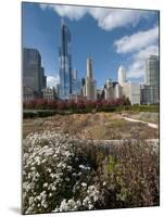 Lurie Garden with Skyline, Chicago Millennium Park, Chicago, Illinois, Usa-Alan Klehr-Mounted Photographic Print