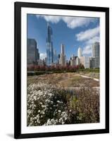 Lurie Garden with Skyline, Chicago Millennium Park, Chicago, Illinois, Usa-Alan Klehr-Framed Photographic Print