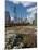 Lurie Garden with Skyline, Chicago Millennium Park, Chicago, Illinois, Usa-Alan Klehr-Mounted Photographic Print