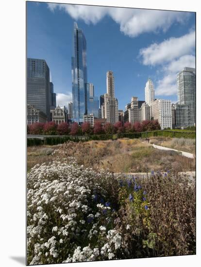 Lurie Garden with Skyline, Chicago Millennium Park, Chicago, Illinois, Usa-Alan Klehr-Mounted Photographic Print