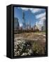 Lurie Garden with Skyline, Chicago Millennium Park, Chicago, Illinois, Usa-Alan Klehr-Framed Stretched Canvas