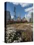 Lurie Garden with Skyline, Chicago Millennium Park, Chicago, Illinois, Usa-Alan Klehr-Stretched Canvas