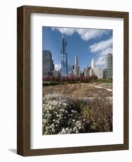 Lurie Garden with Skyline, Chicago Millennium Park, Chicago, Illinois, Usa-Alan Klehr-Framed Photographic Print