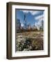 Lurie Garden with Skyline, Chicago Millennium Park, Chicago, Illinois, Usa-Alan Klehr-Framed Photographic Print