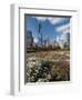 Lurie Garden with Skyline, Chicago Millennium Park, Chicago, Illinois, Usa-Alan Klehr-Framed Photographic Print