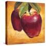 Luscious Apples-Marco Fabiano-Stretched Canvas