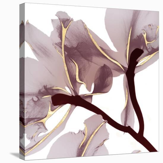 Luscious Bouquet 2-Albert Koetsier-Stretched Canvas