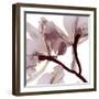 Luscious Bouquet 2-Albert Koetsier-Framed Art Print