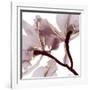 Luscious Bouquet 2-Albert Koetsier-Framed Art Print