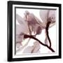 Luscious Bouquet 2-Albert Koetsier-Framed Art Print