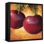 Luscious Cherries-Marco Fabiano-Framed Stretched Canvas