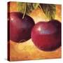 Luscious Cherries-Marco Fabiano-Stretched Canvas